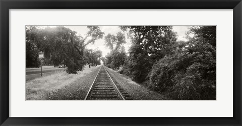 Framed Railroad track, Napa Valley, California, USA Print