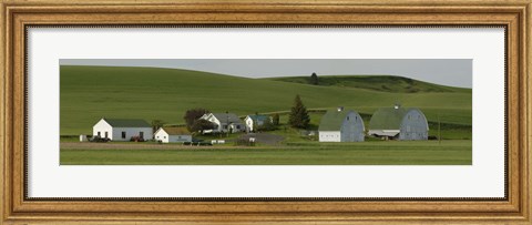 Framed Farm with double barns in wheat fields, Washington State, USA Print
