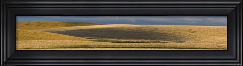 Framed Wheat field, Palouse, Washington State, USA Print
