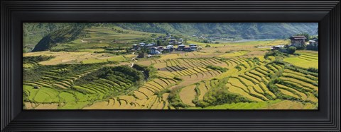 Framed Rice terraced fields and houses in the mountains, Punakha, Bhutan Print