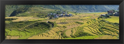 Framed Rice terraced fields and houses in the mountains, Punakha, Bhutan Print