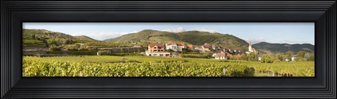 Framed Crop in a vineyard, Weissenkirchen, Wachau, Austria Print