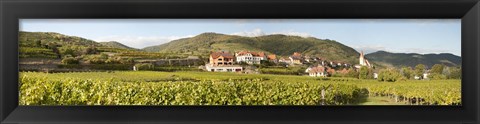 Framed Crop in a vineyard, Weissenkirchen, Wachau, Austria Print