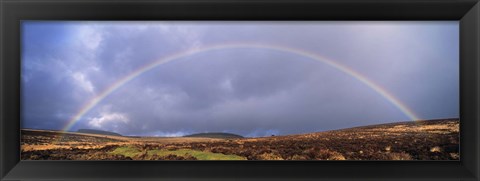 Framed Rainbow above Fernworthy Forest, Dartmoor, Devon, England Print