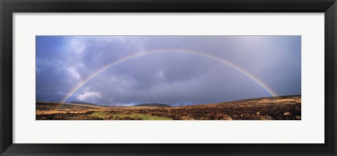 Framed Rainbow above Fernworthy Forest, Dartmoor, Devon, England Print