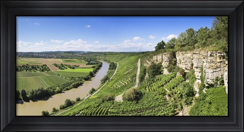 Framed High angle view of vineyards, Neckar River, Hessigheim, Baden-Wurttemberg, Germany Print