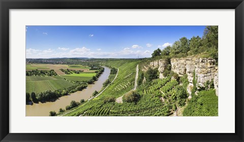 Framed High angle view of vineyards, Neckar River, Hessigheim, Baden-Wurttemberg, Germany Print