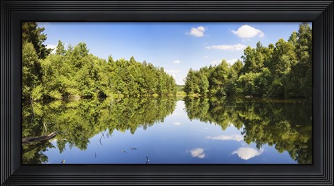 Framed Source of the Neckar River in the Schwenninger moss, Villingen-Schwenningen, Baden-Wurttemberg, Germany Print