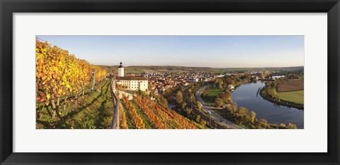 Framed Vineyards around a castle, Horneck Castle, Gundelsheim, Baden-Wurttemberg, Germany Print