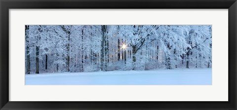 Framed Forest in winter at sunrise, Swabian Alb, Baden-Wurttemberg, Germany Print