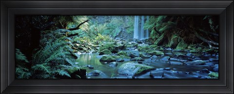 Framed Waterfall in a forest, Hopetown Falls, Great Ocean Road, Otway Ranges National Park, Victoria, Australia Print
