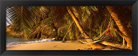 Framed Hammock between two palm trees, Seychelles Print