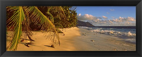 Framed Palm trees on the edge of a small beach, Seychelles Print