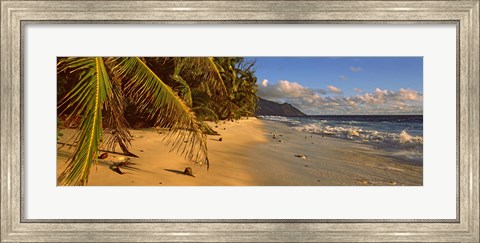 Framed Palm trees on the edge of a small beach, Seychelles Print