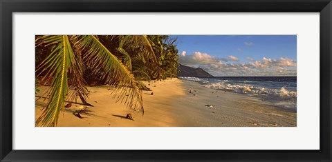 Framed Palm trees on the edge of a small beach, Seychelles Print