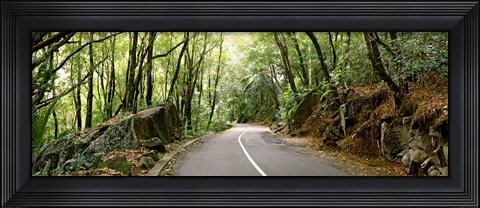 Framed Road passing through an indigenous forest, Mahe Island, Seychelles Print