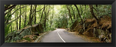 Framed Road passing through an indigenous forest, Mahe Island, Seychelles Print