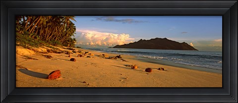 Framed Coconuts on a palm lined beach on North Island with Silhouette Island in the background, Seychelles Print