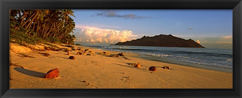 Framed Coconuts on a palm lined beach on North Island with Silhouette Island in the background, Seychelles Print