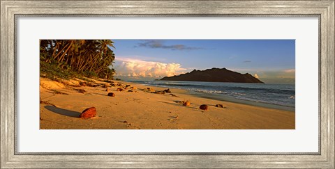 Framed Coconuts on a palm lined beach on North Island with Silhouette Island in the background, Seychelles Print