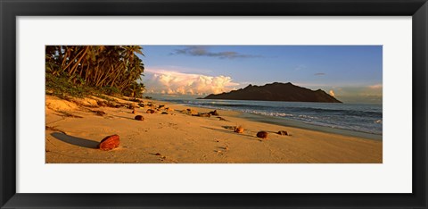 Framed Coconuts on a palm lined beach on North Island with Silhouette Island in the background, Seychelles Print