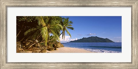 Framed Palm trees grow out over a small beach with Silhouette Island in the background, Seychelles Print