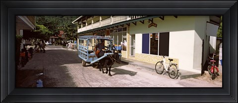 Framed Ox-drawn cart in a street, La Digue Island, Seychelles Print
