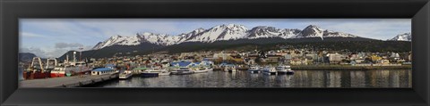 Framed Tierra Del Fuego, Patagonia, Argentina Print