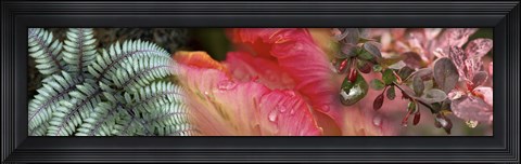 Framed Diagonal Foliage Print