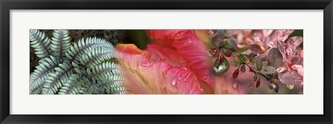 Framed Diagonal Foliage Print
