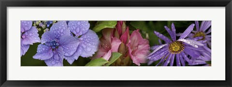 Framed Close-up of flowers Print