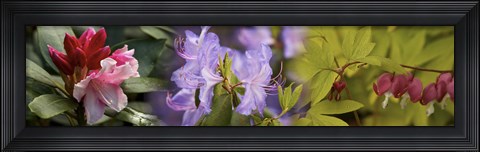 Framed Details of bright colors flowers Print