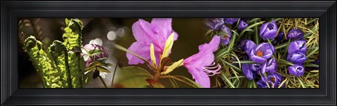 Framed Details of early spring flowers Print