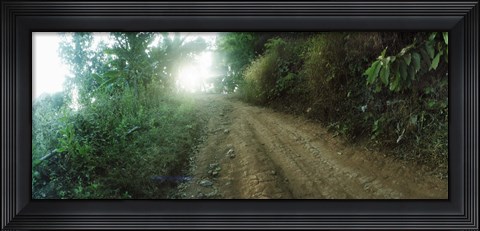 Framed Dirt road through a forest, Chiang Mai Province, Thailand Print