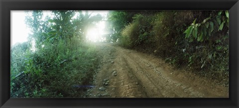 Framed Dirt road through a forest, Chiang Mai Province, Thailand Print