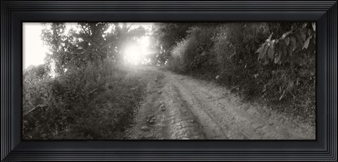 Framed Dirt road through a forest, Chiang Mai Province, Thailand (black and white) Print