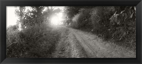 Framed Dirt road through a forest, Chiang Mai Province, Thailand (black and white) Print