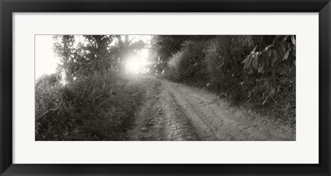 Framed Dirt road through a forest, Chiang Mai Province, Thailand (black and white) Print