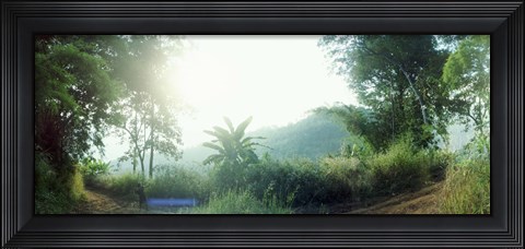 Framed Man with a slingshot in a forest, Chiang Mai, Thailand Print