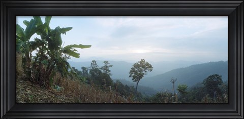 Framed Trees on a hill, Chiang Mai, Thailand Print