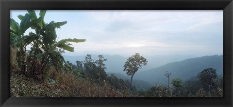 Framed Trees on a hill, Chiang Mai, Thailand Print