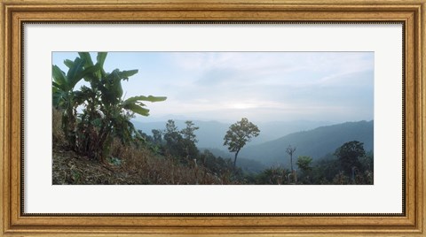 Framed Trees on a hill, Chiang Mai, Thailand Print
