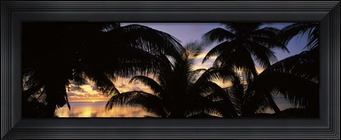 Framed Silhouette of palm trees at sunset, Aitutaki, Cook Islands Print