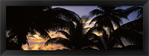 Framed Silhouette of palm trees at sunset, Aitutaki, Cook Islands Print