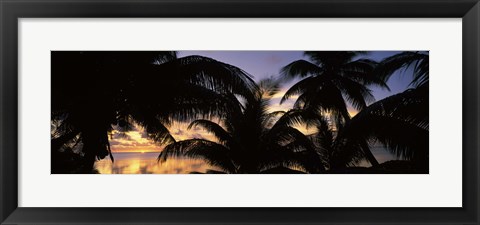 Framed Silhouette of palm trees at sunset, Aitutaki, Cook Islands Print