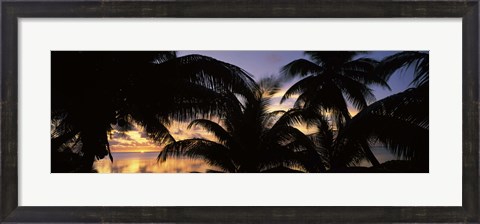 Framed Silhouette of palm trees at sunset, Aitutaki, Cook Islands Print