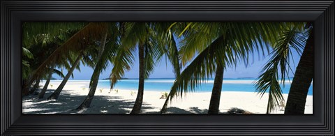 Framed Palm trees on the beach, Aitutaki, Cook Islands Print