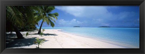 Framed Palm trees on the beach, Tapuaetai, Aitutaki, Cook Islands Print