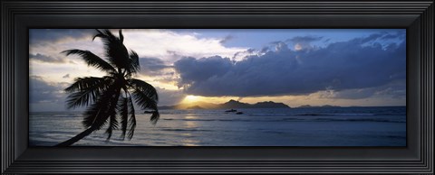 Framed Silhouette of coconut palm tree at sunset, from Anse Severe Beach, La Digue Island, Seychelles Print