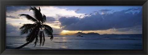 Framed Silhouette of coconut palm tree at sunset, from Anse Severe Beach, La Digue Island, Seychelles Print